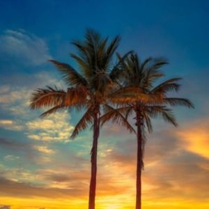 Meet your Posher, Kalifornia